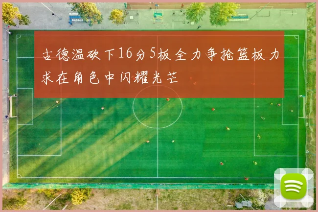 古德温砍下16分5板全力争抢篮板力求在角色中闪耀光芒